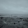DSCF0130